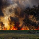 Picture of wildfires
