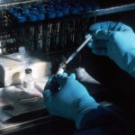 A scientist looking at a sample through a microscope