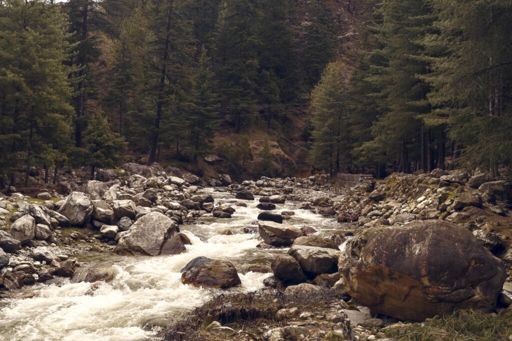 wilderness