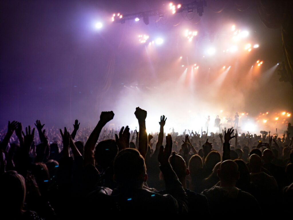 The audience at a concert