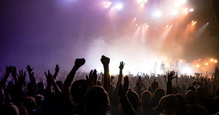 The audience at a concert