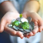 Hands holding money and a sprouting plant
