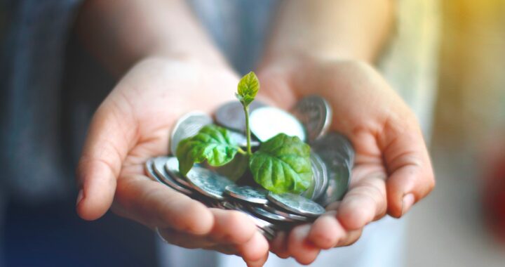 Hands holding money and a sprouting plant