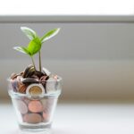 A plant in a pot of money