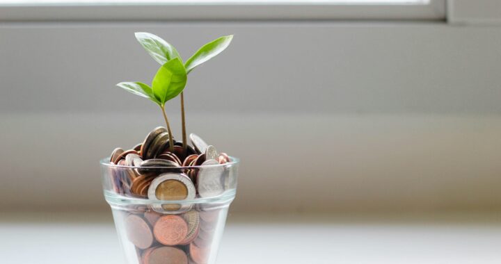A plant in a pot of money